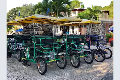 36750 US Highway 19 N #19219, Palm Harbor, FL 34684 - Photo 35