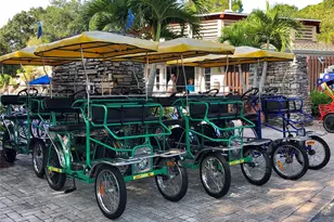 36750 US Hwy 19 N, Palm Harbor, FL 34684 - Photo 35