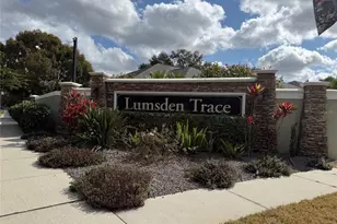 1146 Lumsden Trace Cir, Valrico, FL 33594 - Photo 19