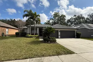 1146 Lumsden Trace Cir, Valrico, FL 33594 - Photo 1