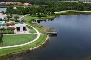 5989 Golden Nettle Dr, Apollo Beach, FL 33572 - Photo 93