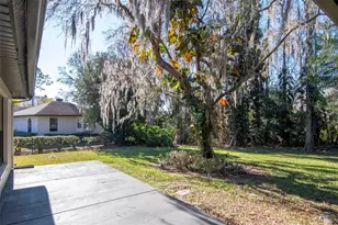 18306 Pleasant Ridge Pl, Lutz, FL 33548 - Photo 53