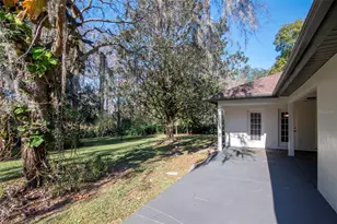 18306 Pleasant Ridge Pl, Lutz, FL 33548 - Photo 49