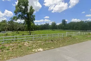 7285 Norman St, Webster, FL 33597 - Photo 1