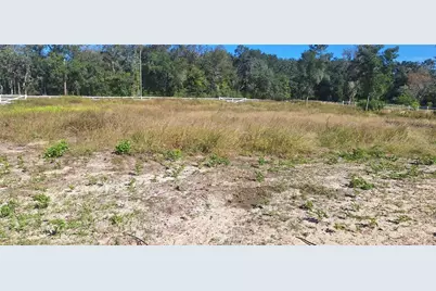 7285 Norman Street, Webster, FL 33597 - Photo 11