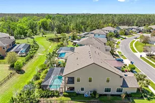 19412 Lonesome Pine Dr, Land O Lakes, FL 34638 - Photo 89