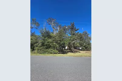 2406 E Newsome Rd, Plant City, FL 33565 - Photo 5