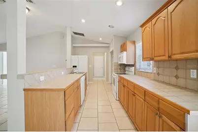 13210 Maple Street, Odessa, FL 33556 - Photo 13