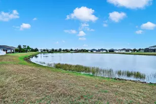 12918 Satin Lily Dr, Riverview, FL 33579 - Photo 33