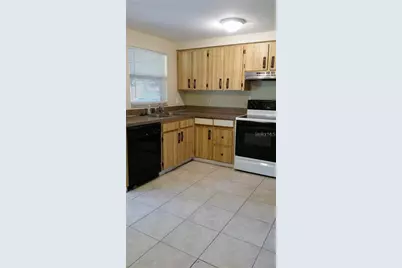 911 Peninsula Road, Tarpon Springs, FL 34689 - Photo 3