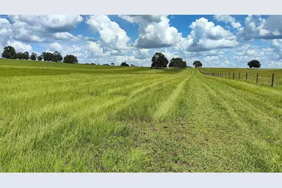 0 S Pleasant Grove Road, Inverness, FL 34452 - Photo 9