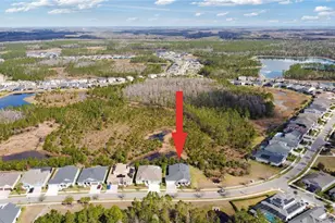 4289 Tour Trce, Land O Lakes, FL 34638 - Photo 43