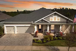 4289 Tour Trce, Land O Lakes, FL 34638 - Photo 3