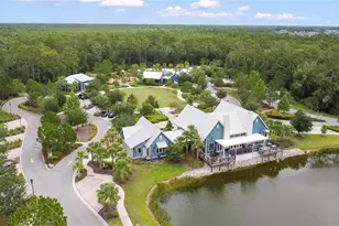 4289 Tour Trce, Land O Lakes, FL 34638 - Photo 47