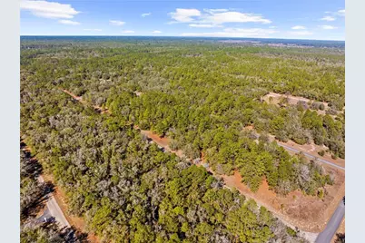 1783 E Ivydale Drive, Dunnellon, FL 34434 - Photo 9