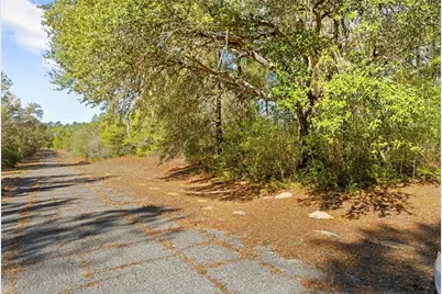 1783 E Ivydale Drive, Dunnellon, FL 34434 - Photo 15