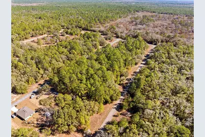 1783 E Ivydale Drive, Dunnellon, FL 34434 - Photo 5