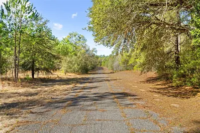 1783 E Ivydale Drive, Dunnellon, FL 34434 - Photo 13