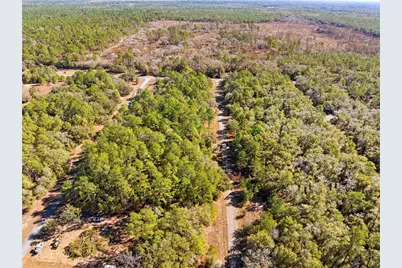 1783 E Ivydale Drive, Dunnellon, FL 34434 - Photo 7