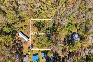 9355 E Tin Pan Alley, Inverness, FL 34453 - Photo 1