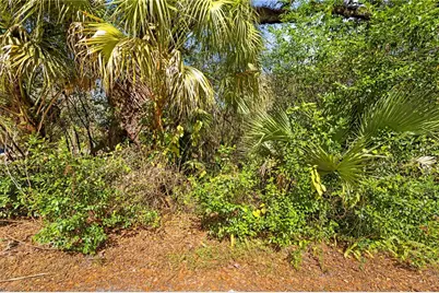 9355 E Tin Pan Alley, Inverness, FL 34453 - Photo 15