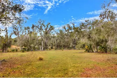 Colding Loop, Wimauma, FL 33598 - Photo 5