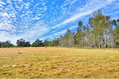 Colding Loop, Wimauma, FL 33598 - Photo 7