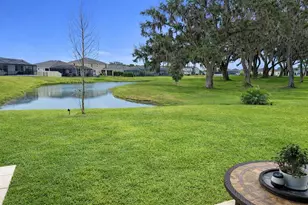 10437 Laxer Cay Loop, San Antonio, FL 33576 - Photo 23