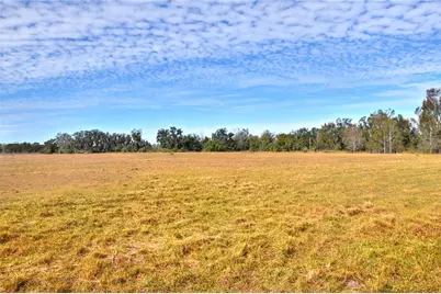 Colding Loop, Wimauma, FL 33598 - Photo 9