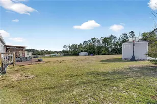 39344 Bohan Ln, Zephyrhills, FL 33540 - Photo 47