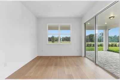 33456 Herds Hallow Way, Wesley Chapel, FL 33545 - Photo 5