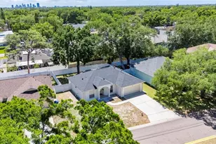 512 Atwood Ave N, Saint Petersburg, FL 33702 - Photo 45