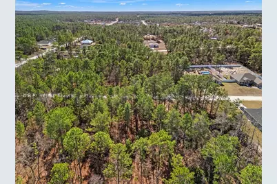 13085 Tinamou Avenue, Weeki Wachee, FL 34614 - Photo 15