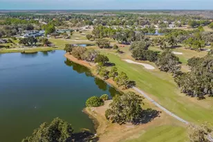 16306 Colwood Dr, Odessa, FL 33556 - Photo 35