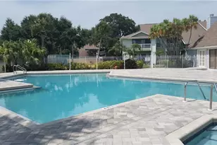 455 Alt 19 S, Palm Harbor, FL 34683 - Photo 29