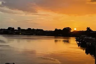 2960 59th Street S, Gulfport, FL 33707 - Photo 29