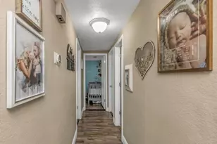 1008 Greenleaf Way, Tarpon Springs, FL 34689 - Photo 27