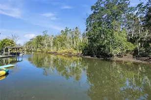 7266 Tropical Dr, Weeki Wachee, FL 34607 - Photo 19