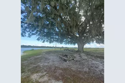 24905 NE 130th Street, Fort Mc Coy, FL 32134 - Photo 65