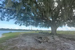 24905 NE 130th St, Fort Mc Coy, FL 32134 - Photo 65