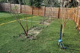 24905 NE 130th St, Fort Mc Coy, FL 32134 - Photo 45