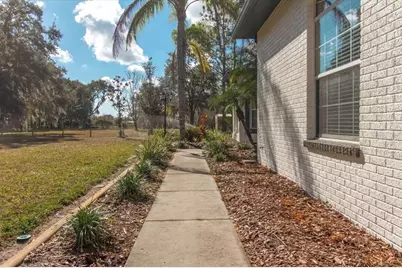 6535 Lake Irene Drive, Land O Lakes, FL 34638 - Photo 7