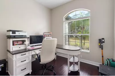 6535 Lake Irene Drive, Land O Lakes, FL 34638 - Photo 49