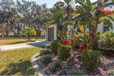 6535 Lake Irene Drive, Land O Lakes, FL 34638 - Photo 11