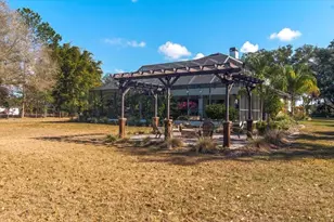 6535 Lake Irene Dr, Land O Lakes, FL 34638 - Photo 17