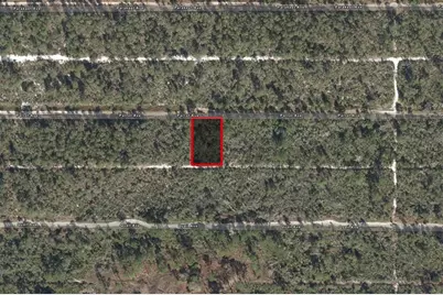 533 Parrot Avenue, Sebring, FL 33870 - Photo 1