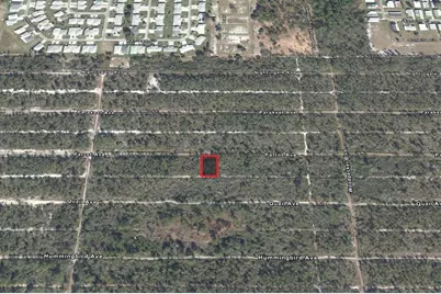 533 Parrot Avenue, Sebring, FL 33870 - Photo 3