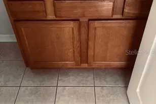 30352 Elderwood Dr, Wesley Chapel, FL 33543 - Photo 19