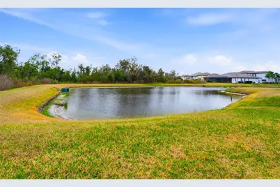 33564 Willow Point Court, Wesley Chapel, FL 33545 - Photo 73