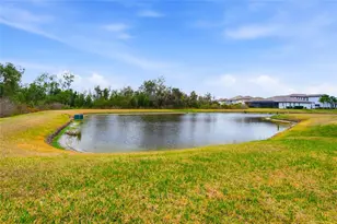 33564 Willow Point Ct, Wesley Chapel, FL 33545 - Photo 73